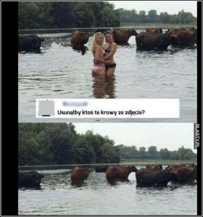 Usunąłby ktoś te krowy z tego zdjęcia