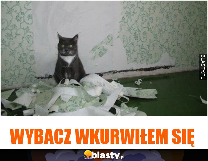 Wybacz wkurwiłem się