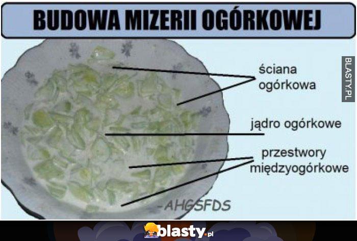 Budowa mizerii ogórkowej