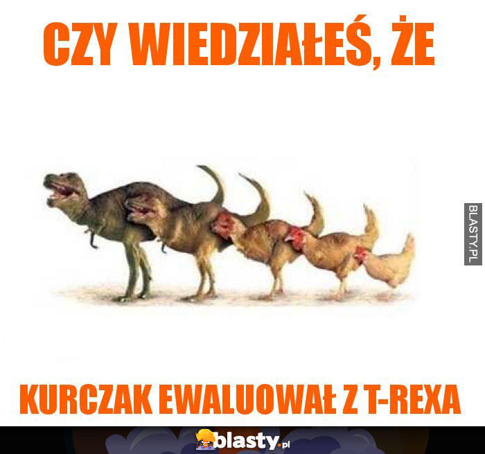 Czy wiedziałeś, że kurczak ewaluował z T-Rex