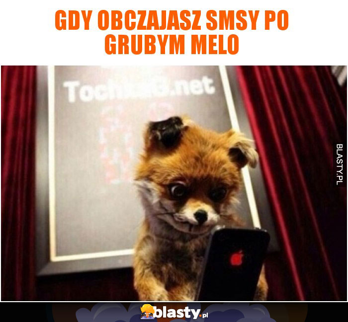 Gdy obczajasz smsy po grubym melo