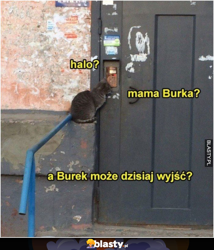 Halo - mama burka ?