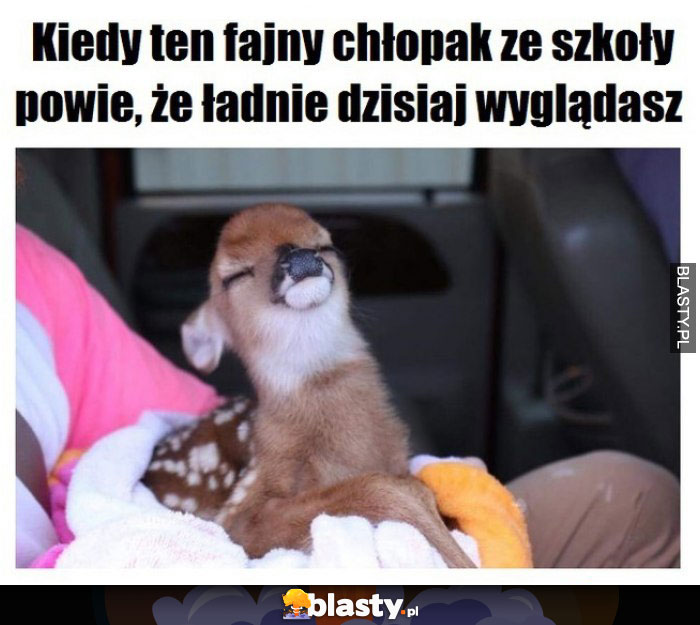 Kiedy chłopak ze szkoły powie, że ładnie dzisiaj wyglądasz