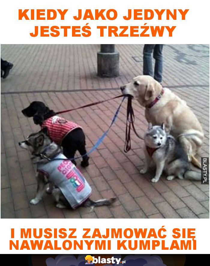 Kiedy jako jedyny jesteś trzeźwy i musisz zajmować się nawalonymi kumplami