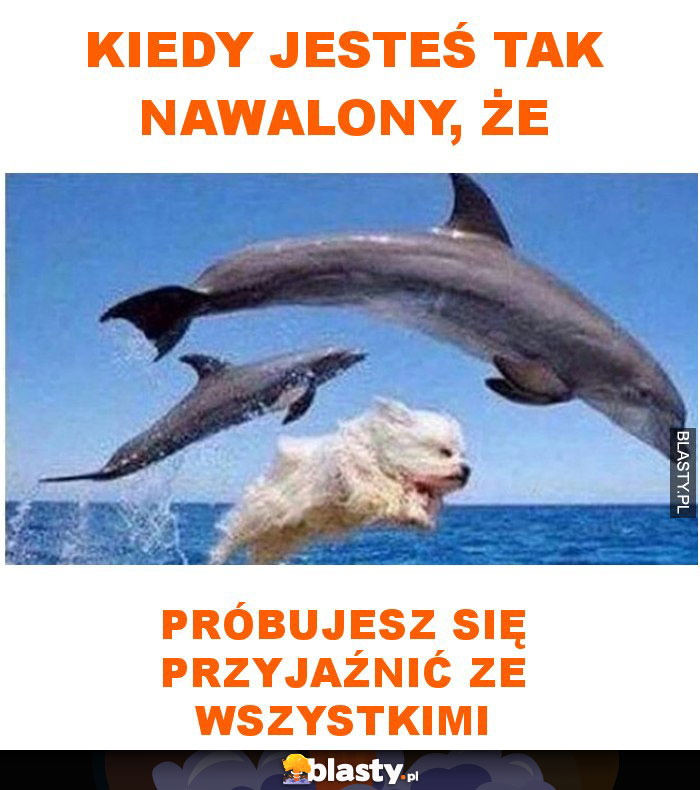 Kiedy jesteś tak nawalony, że próbujesz się przyjaźnić ze wszystkimi