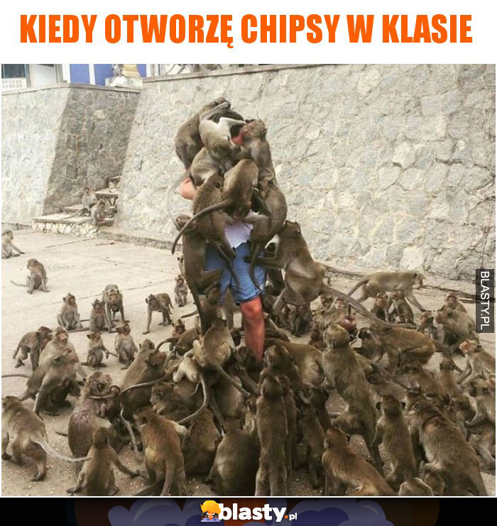 Kiedy otworzę chipsy w klasie