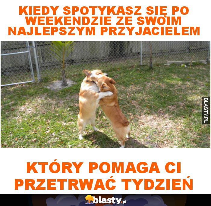 Kiedy spotykasz się po weekendzie ze swoim najlepszym przyjacielem