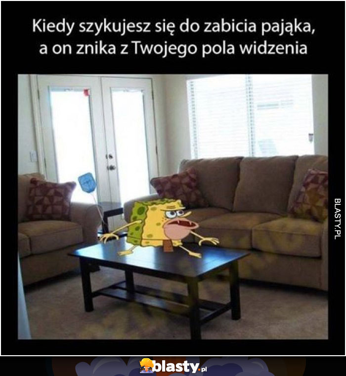 Kiedy szukasz pająka