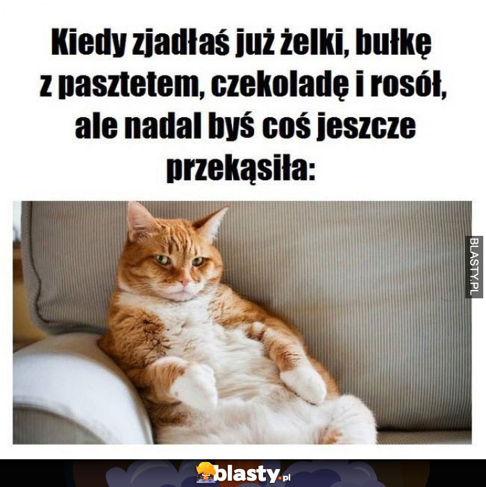 Kiedy zjadłeś już żelki bułkę z pasztetem