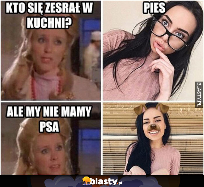 Kto się zesrał w kuchni?