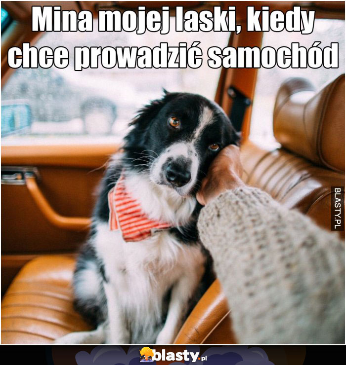 Mina mojej laski, kiedy chce prowadzić samochód