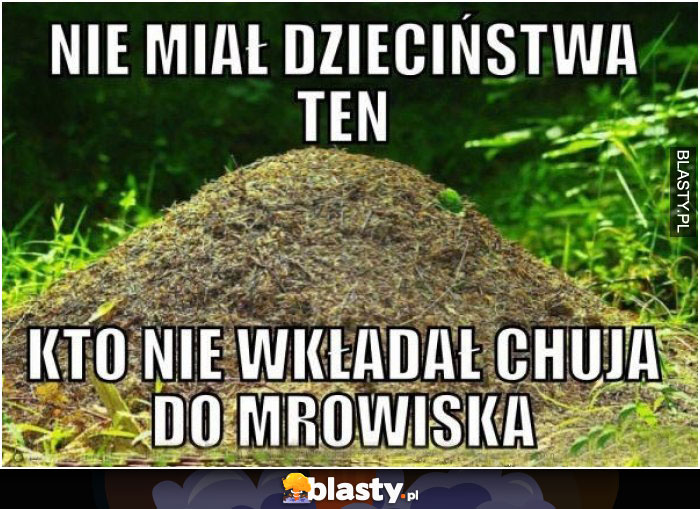 Nie miał dzieciństwa kto nie wkładał chuja w mrowisko