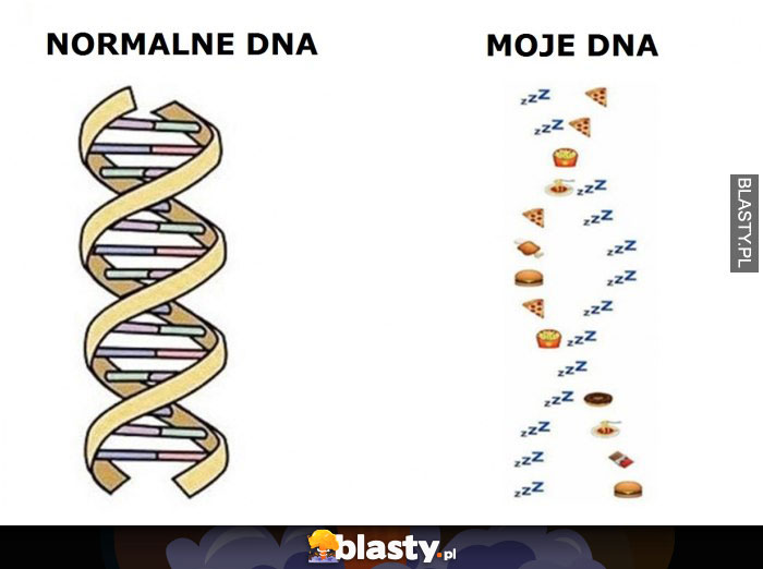 Normalne DNA vs Moje DNA