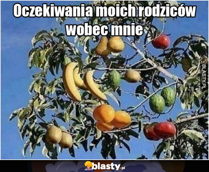 Oczekiwania moich rodziców wobec mnie