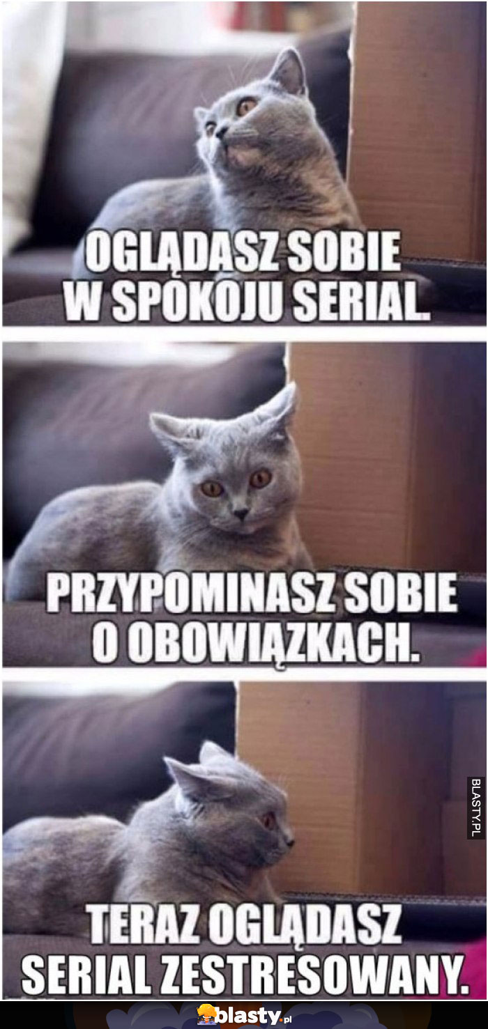 Oglądasz sobie w spokoju serial