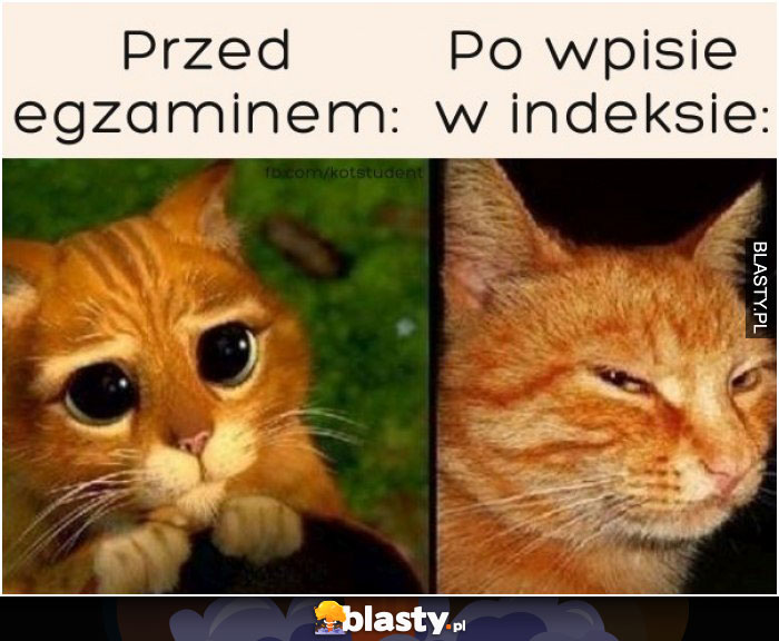 Przed egzaminem vs w indeksie