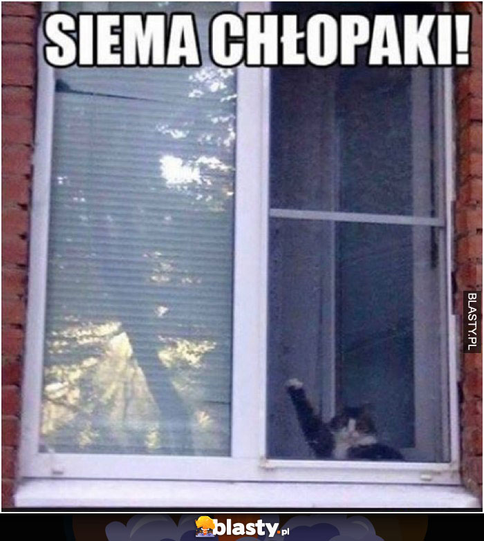 Siema chłopaki