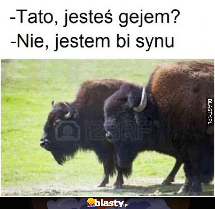 Tato jestem gejem