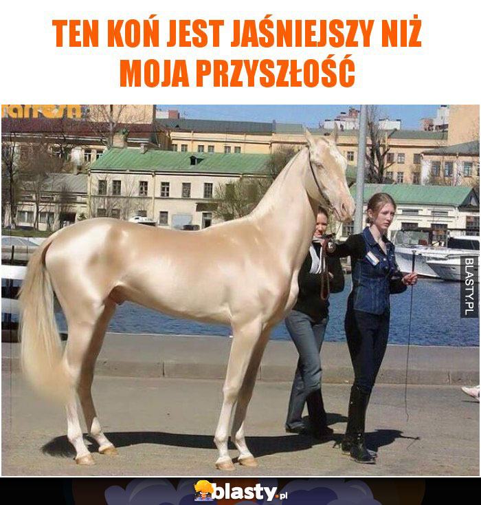 Ten koń jest jaśniejszy niż moja przyszłość