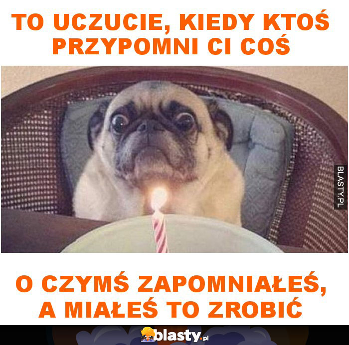 To uczucie, kiedy ktoś przypomni ci coś o czymś zapomniałeś, a miałeś to zrobić