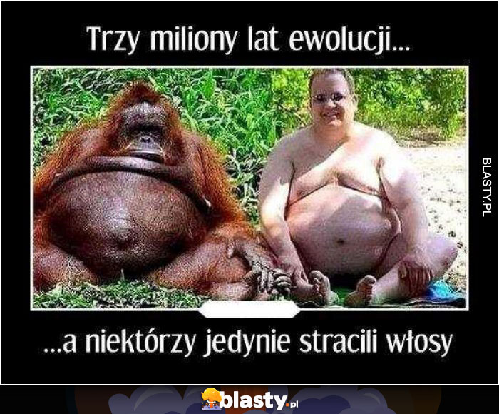 Trzy miliony lat ewolucji