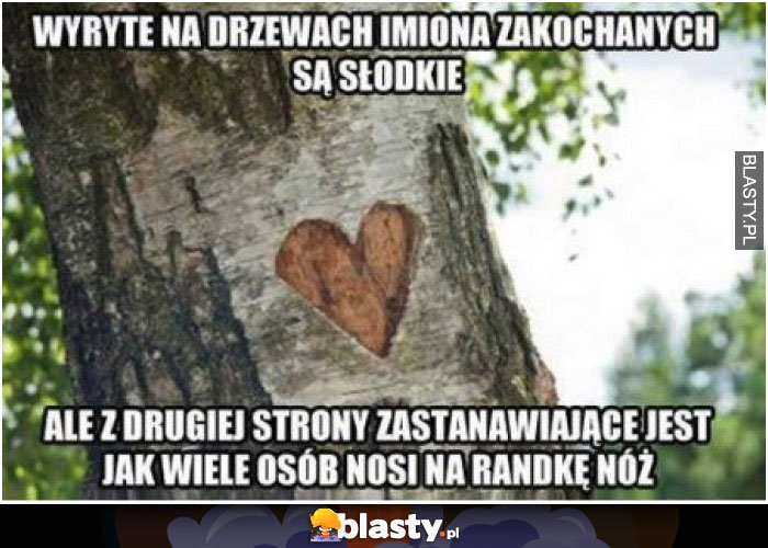 Wyryte na drzewach imiona zakochanych są słodkie