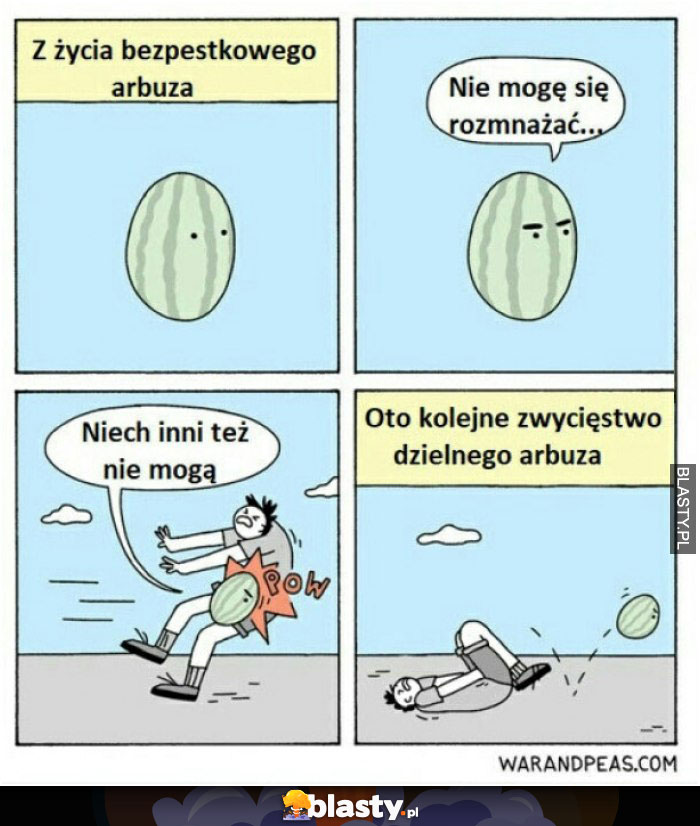 Z życia bezpestkowego arbuza