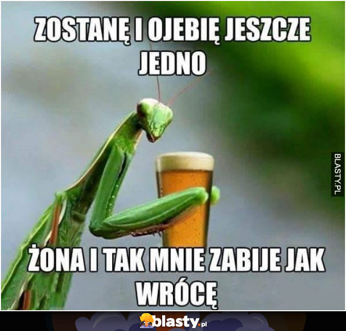 Zostanie i ojebię jeszcze jedno