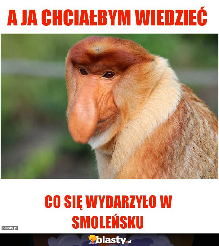 A ja chciałbym wiedzieć