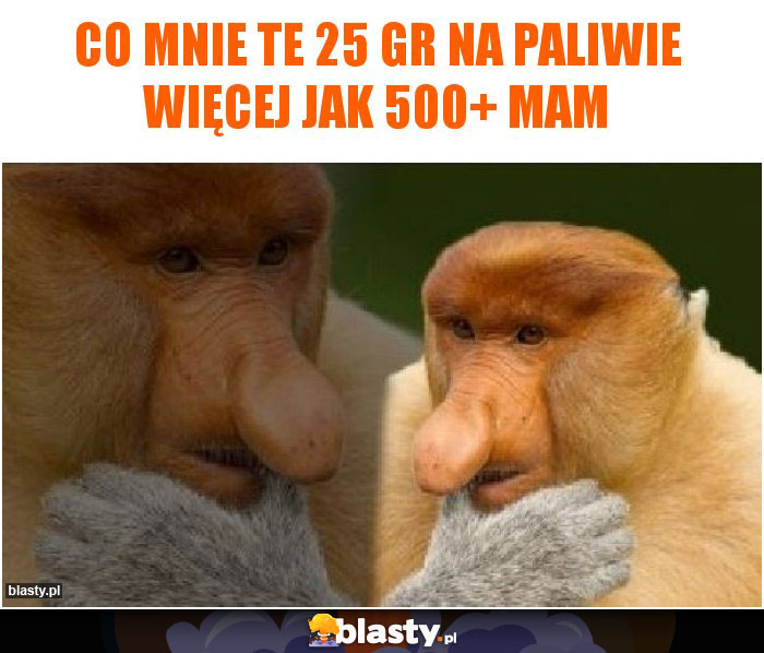 Co mnie te 25 gr na paliwie więcej jak 500+ mam