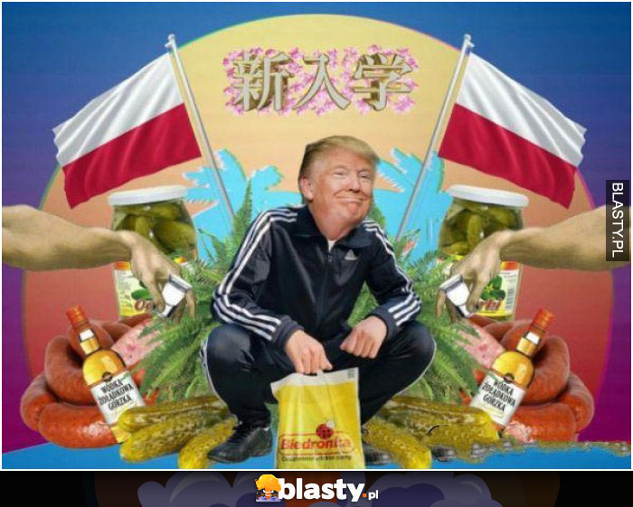 Donald Trump polak