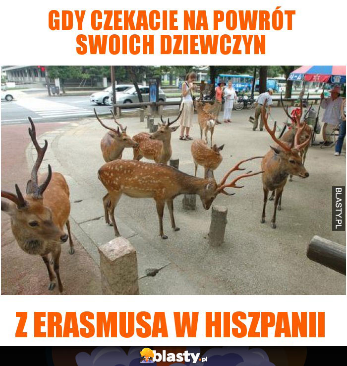 Gdy czekacie na powrót swoich dziewczyn