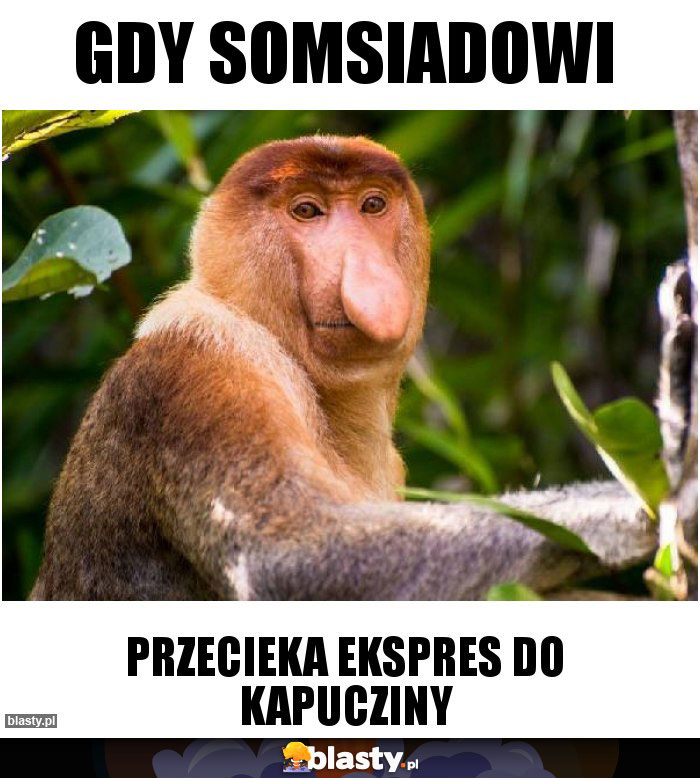 Gdy somsiadowi