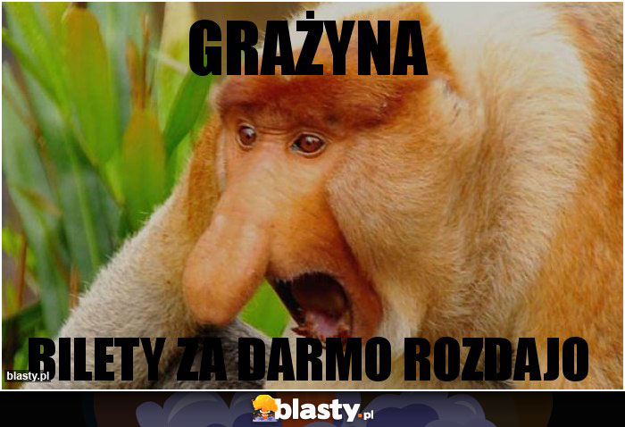 GRAŻYNA