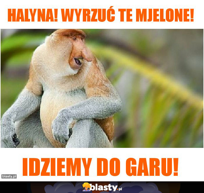 Halyna! Wyrzuć te mjelone!