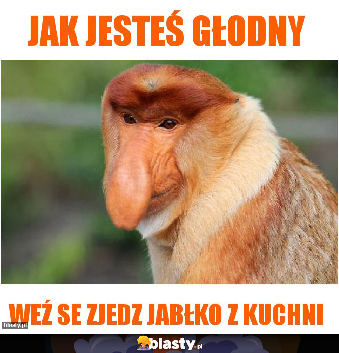 Jabłko