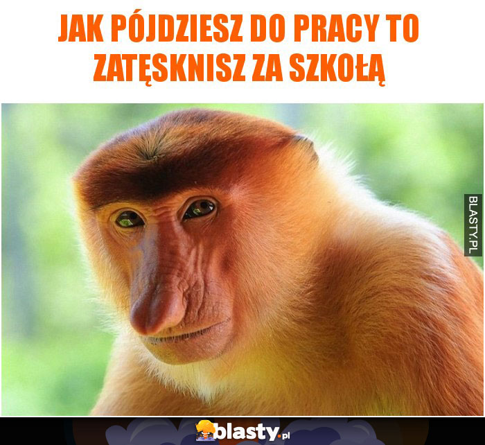 Jak pójdziesz do pracy to zatęsknisz za szkołą