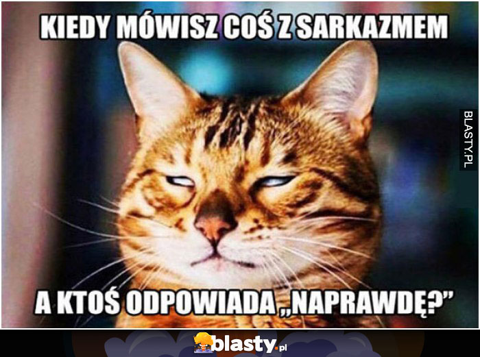 Kiedy mówisz coś z sarkazmem