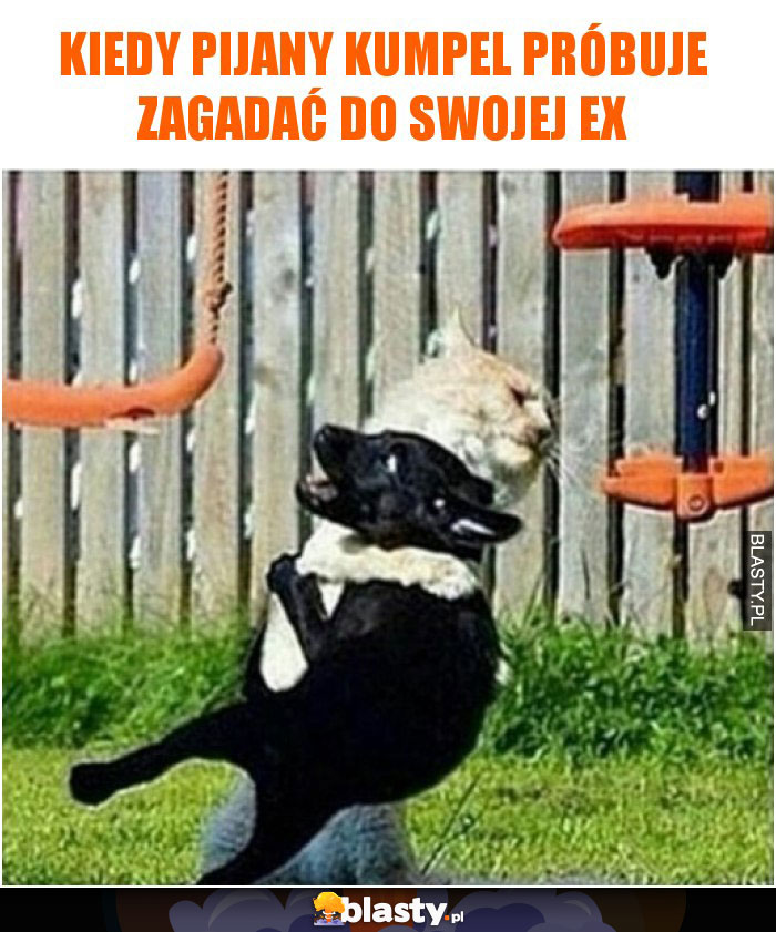 Kiedy pijany kumpel próbuje zagadać do swojej ex