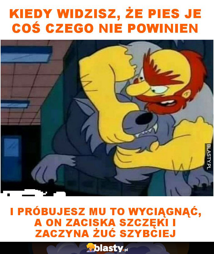 Kiedy widzisz, że pies je coś czego nie powinien