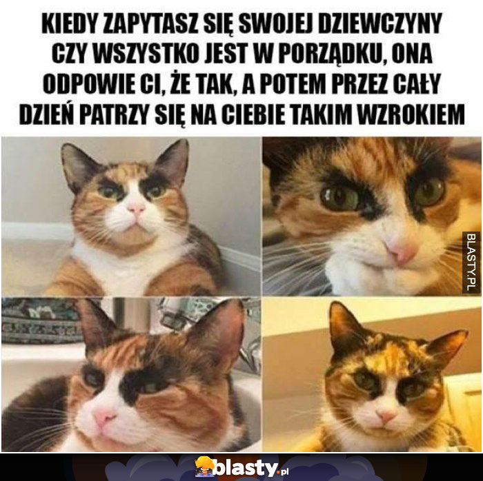 Kiedy zapytasz swojej laski