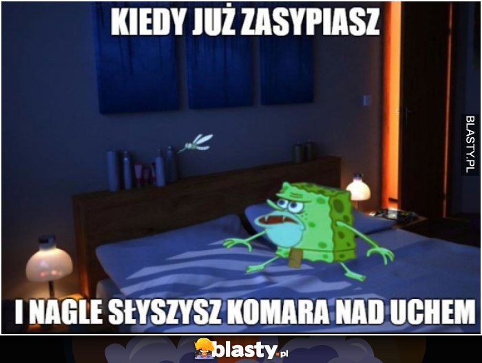 Kiedy zasypiasz i nagle słyszysz komara nad uchem