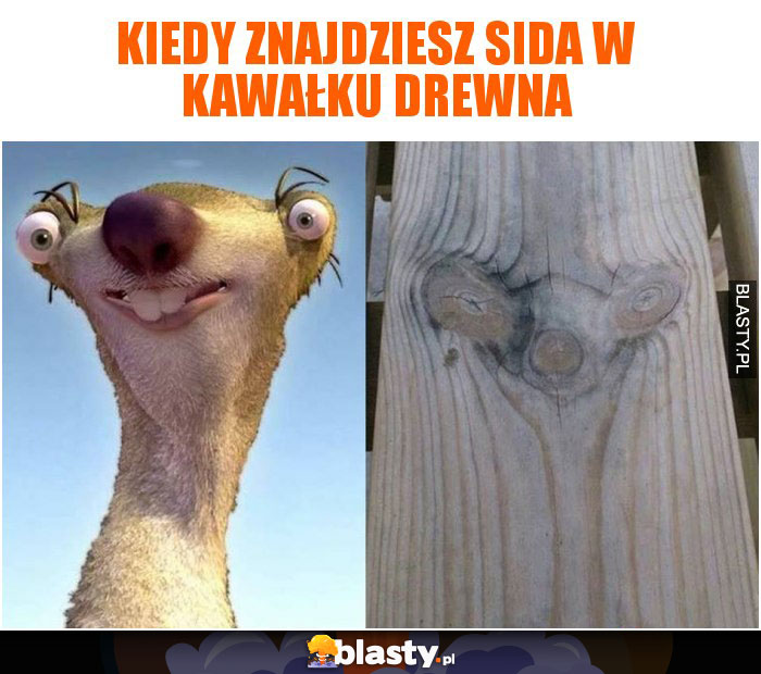 Kiedy znajdziesz Sida w kawałku drewna