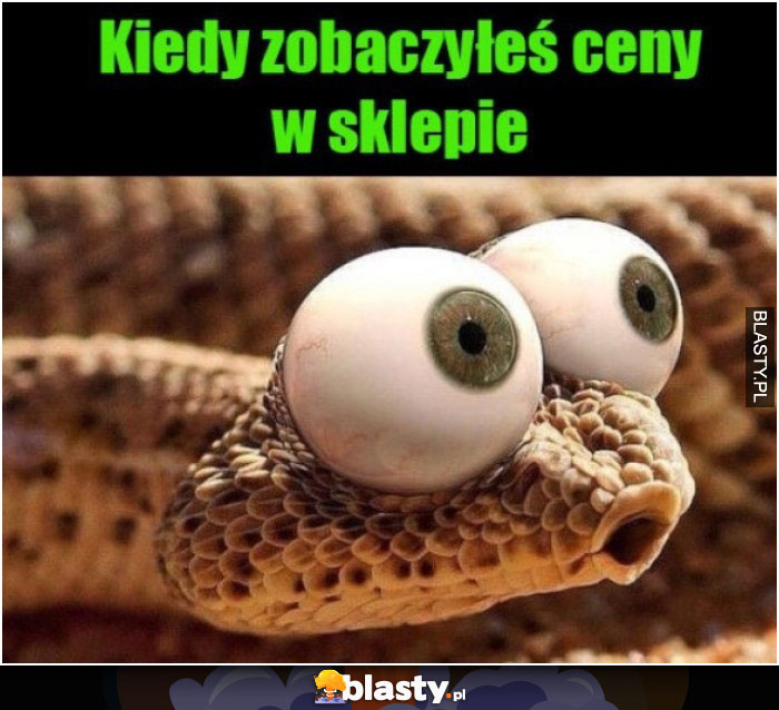 Kiedy zobaczyłeś ceny w sklepie