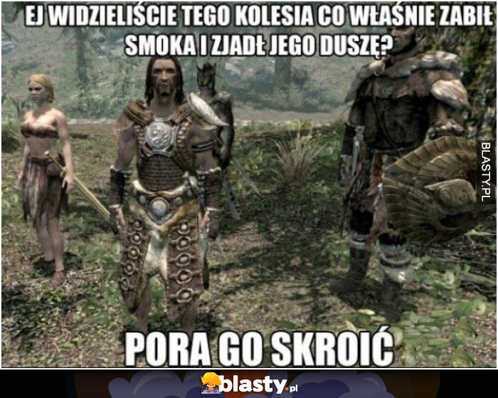 Logika Skyrim