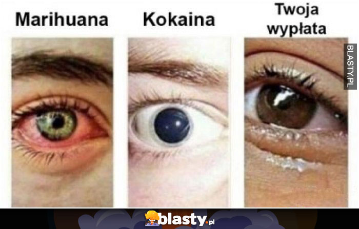 Marihuana vs kokaina vs twoja wypłata