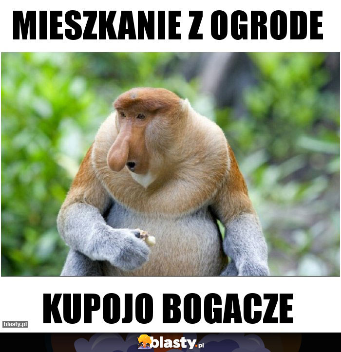 Mieszkanie z ogrode