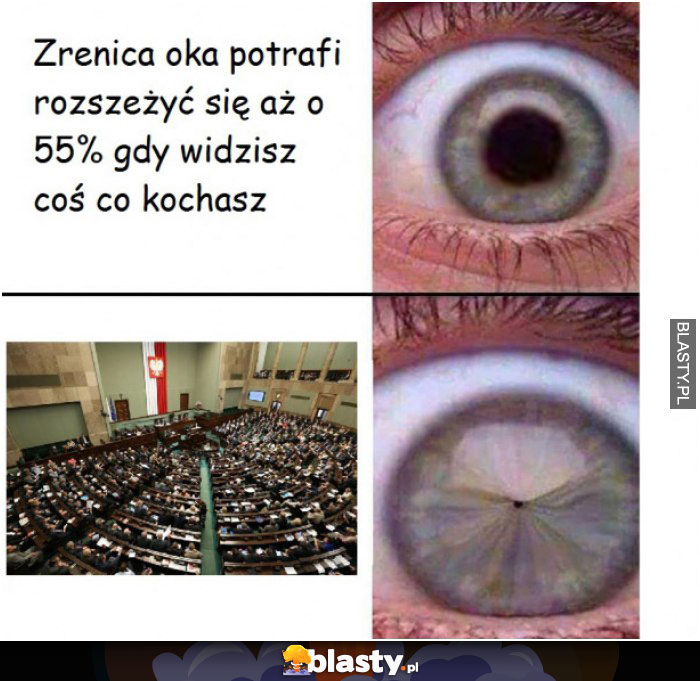 Miłość i chemia