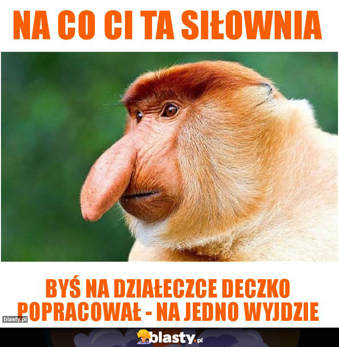 Na co Ci ta siłownia