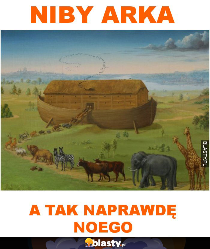 Niby Arka